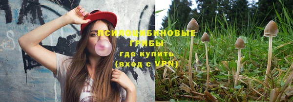 гидропоника Приозерск