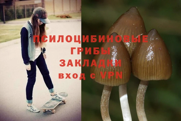 дмт Алексеевка